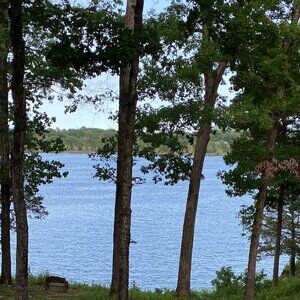 Offshore Striped High Wasted Bikini Bottom in Blue and White
